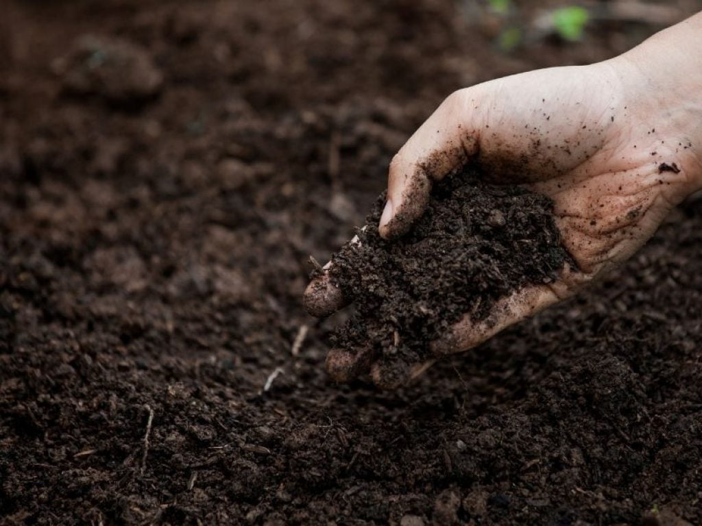 What does it mean to dream of soil